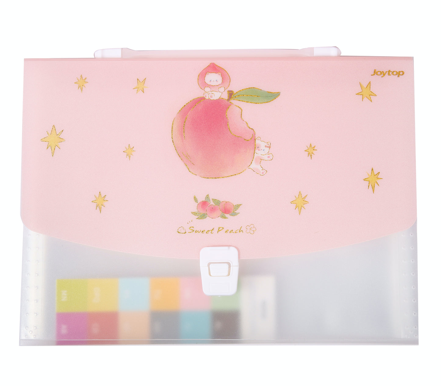 A4 Cute Pink Peach File Folder - 13 Pocket Folder