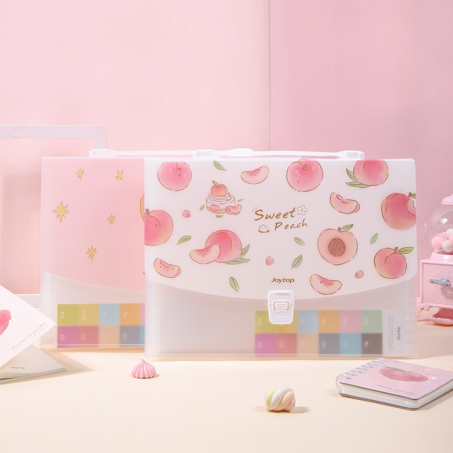 A4 Cute Pink Peach File Folder - 13 Pocket Folder