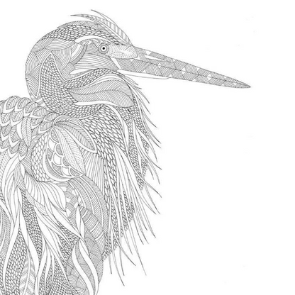 Animal and Plants Coloring Book