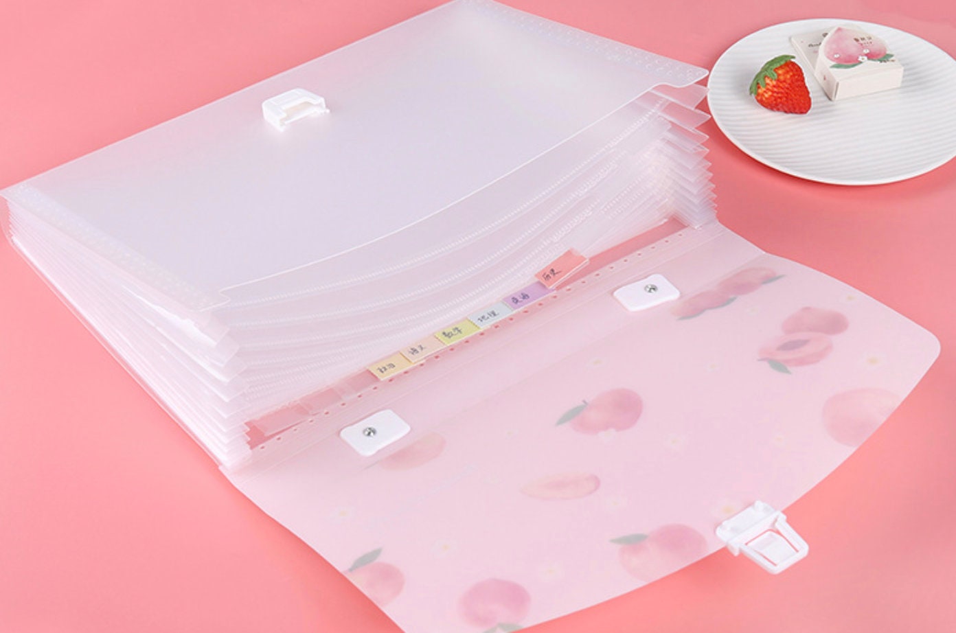 Cute Pink Peach File Folder - 13 Pocket Folder - Decorative Document Keeper for A4 Files - Portable Storage Bag - Organization file