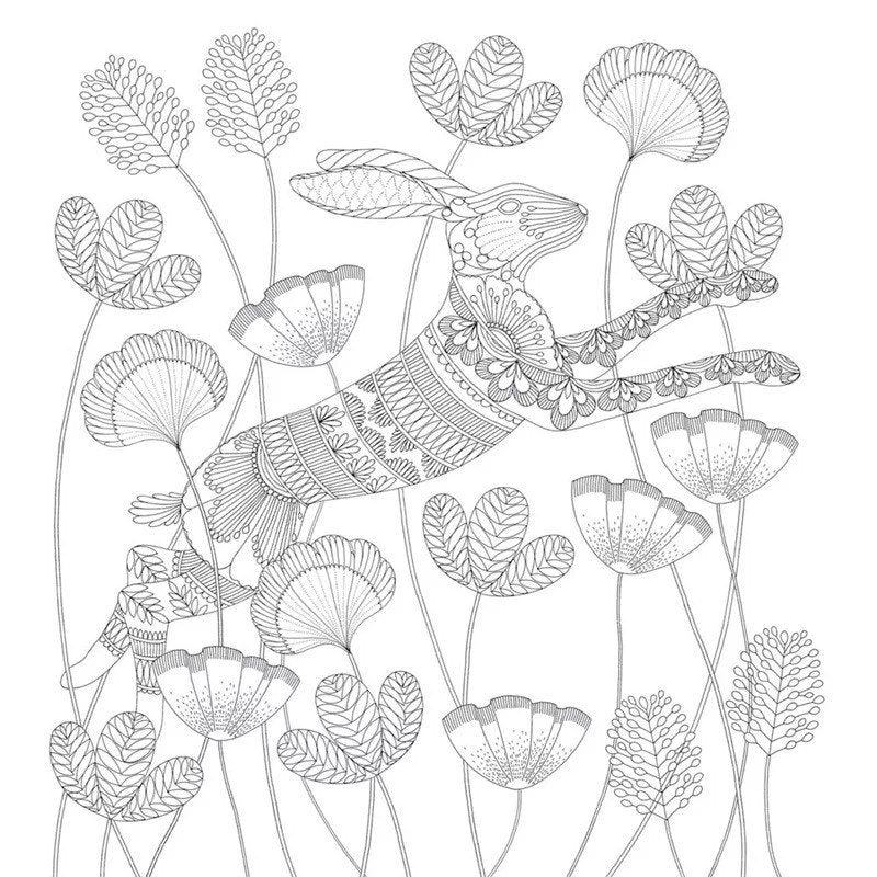 Animal and Plants Coloring Book