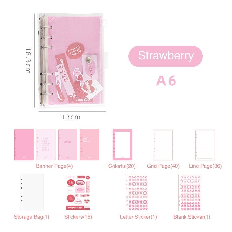 A6 Loose Leaf Diary with Stickers