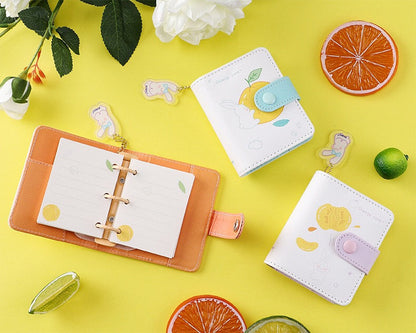 A7 Mini  Notebook - Loose Leaf Diary with soft leather cover